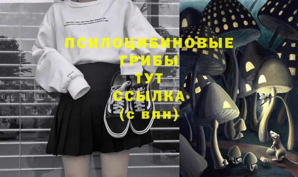 винт Баксан